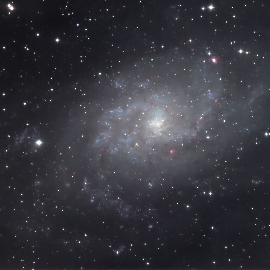 M 33