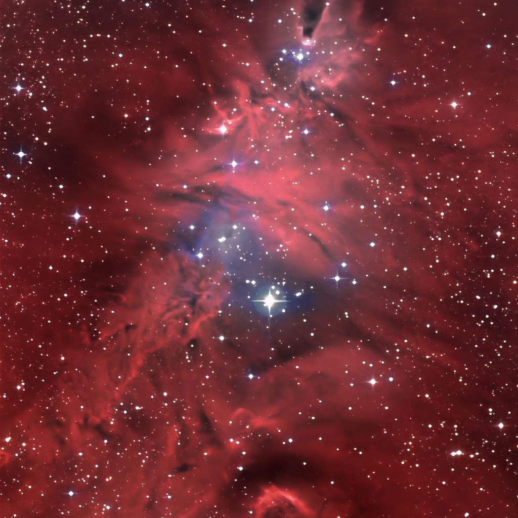 NGC 2264